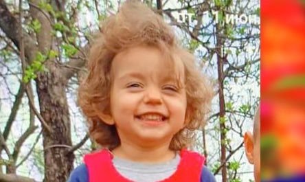 На Николаевщине нашли двухлетнюю девочку, которую полиция искала всю ночь