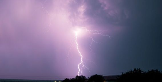 В грозу люди спрятались под деревом: двоих убила молния, еще один человек в реанимации