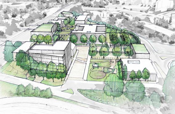 В Николаеве ради заправки и СТО вырубят деревья