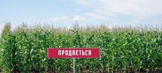 10 главных вопросов по рынку земли, который открывается, сегодня, 1 июля