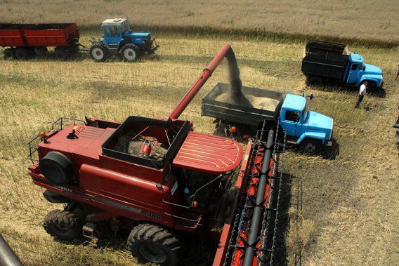 Николаевская область в лидерах по сбору урожая