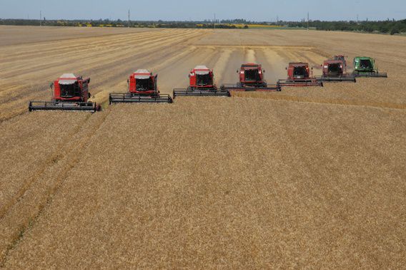 Жатва-2021: Николаевская область лидер по сбору урожая