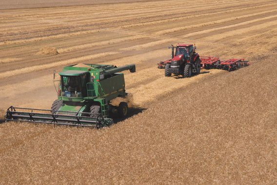 Аграрии Николаевской области в первую неделю собирали по 43 центнера зерновых с гектара