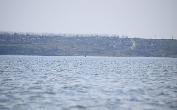 В Николаеве в Бугском лимане всплыл утопленник