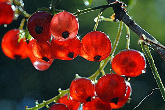 Украинцам пообещали аномально жаркий август