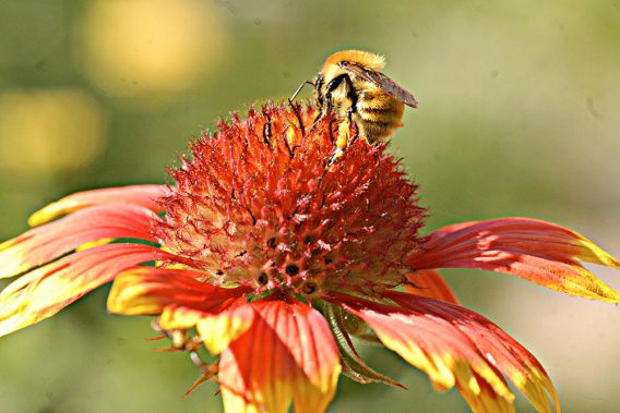 На черноморском побережье вода прогрелась до 24 градусов, в Николаеве ждут 34 градуса жары