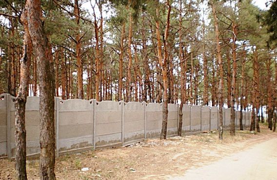 Суд постановил снести усадьбу бывшего начальника экоинспекции в сосновом бору у Бугского лимана