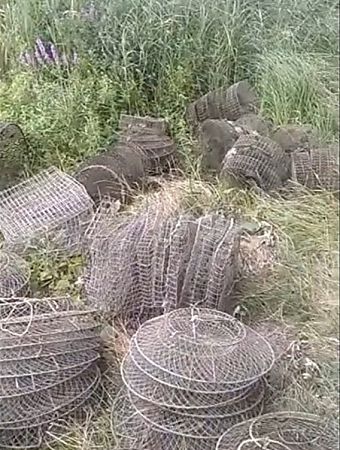 В Николаевской области река Южный Буг усеяна раколовками