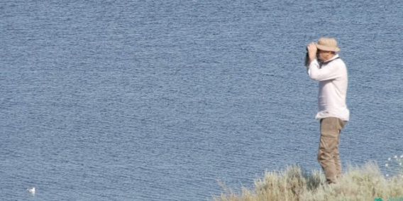 В ландшафтном парке Тилигульский пересчитали абсолютно всех птиц