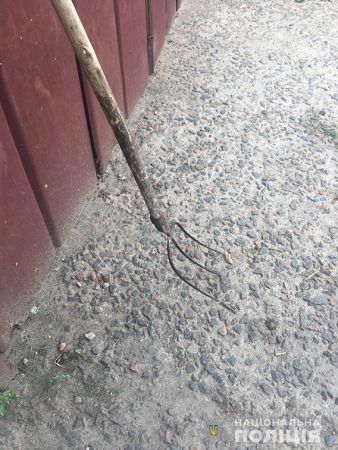 В Николаевской области брат заколол вилами брата