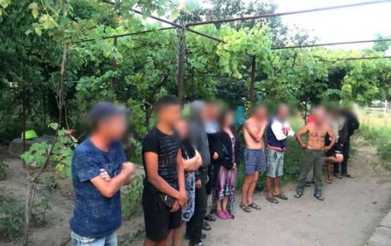 Большую часть урожая арбузов в Николаевской области собирают бригады рабов