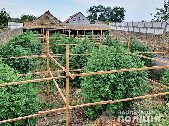 Полиция со спецназом провели операцию в селе Николаевской области