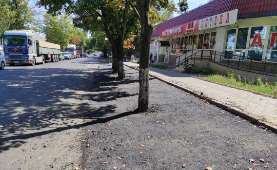 В Николаев во время ремонта дороги заасфальтировали деревья