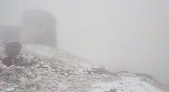 Закружил первый снег