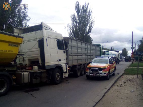 В Николаевской области на городской дороге погиб водитель