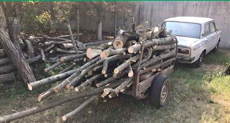 В Николаевской области в лесопосадке селянин спилил акации