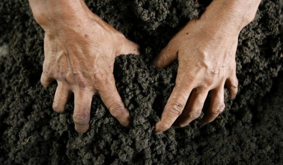 Только после сбора урожая на участке, который захватил неизвестный фермер, нагрянули с проверкой инспектора госкадастра