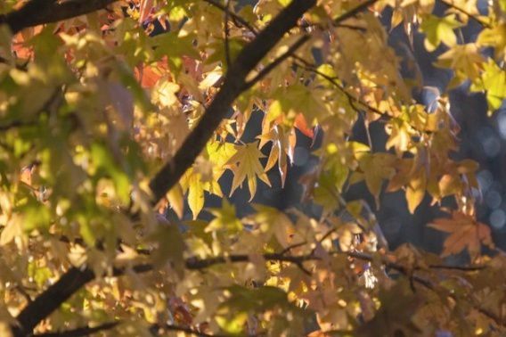 Город Николаев захватил антициклон по имени Любовь