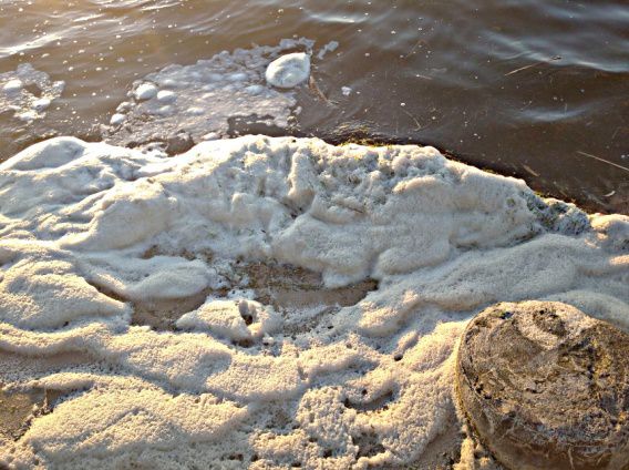 Берег на пляже в Николаеве в белой пене