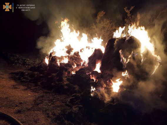 На вчерашнем пожаре в Николаеве работали спасатели, полиция, медики, газовщики