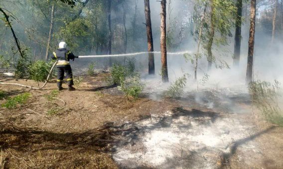 Пожар в лесном урочище "Бугские хутора" начался из-за поджога