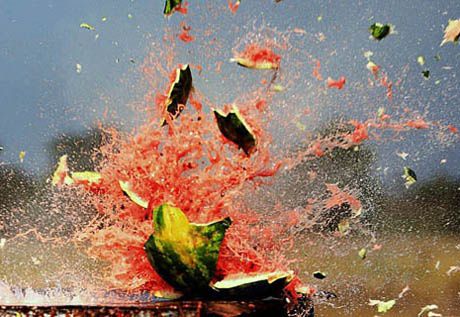 Фермеры разбивают непроданные арбузы: шок-видео