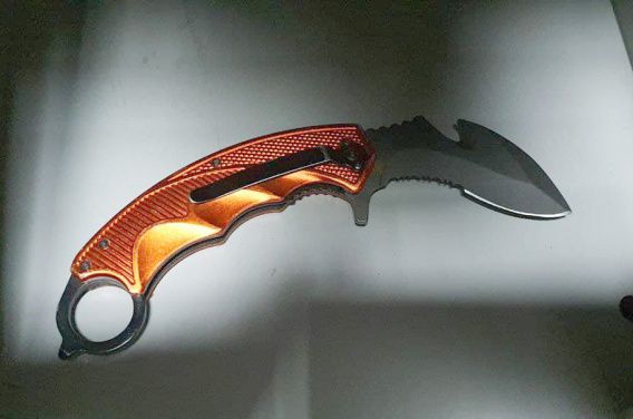 В суды Николаевской области пришла «группа поддержки» с ножами, пистолетами и газовыми баллончиками