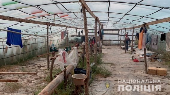 В пекарне-гадюшнике в Николаеве и в хижинах под Новой Одессой поймали нелегалов