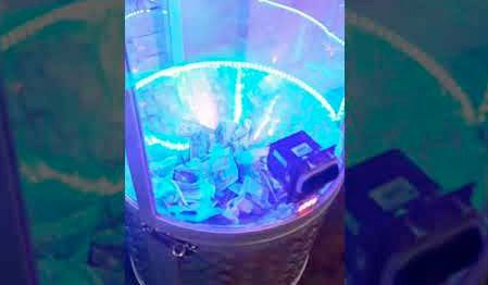 Подростки с помощью липучки для мух обманули аттракцион "Бабломет" (видео)