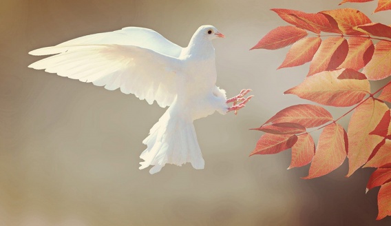 На Николаевщину идет аномальное тепло: названы даты