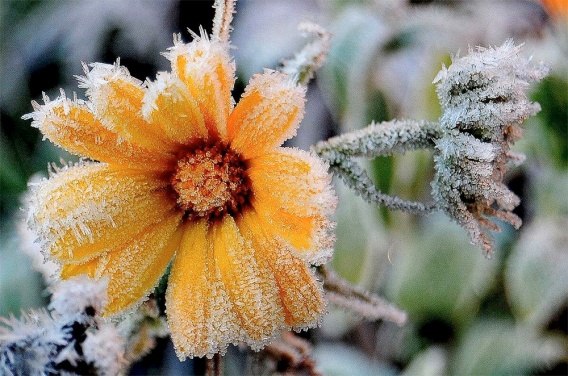 С понедельника николаевцам обещают минусовую температуру