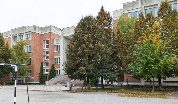 10-летние школьники напали на первоклассницу, избили и залезли под белье