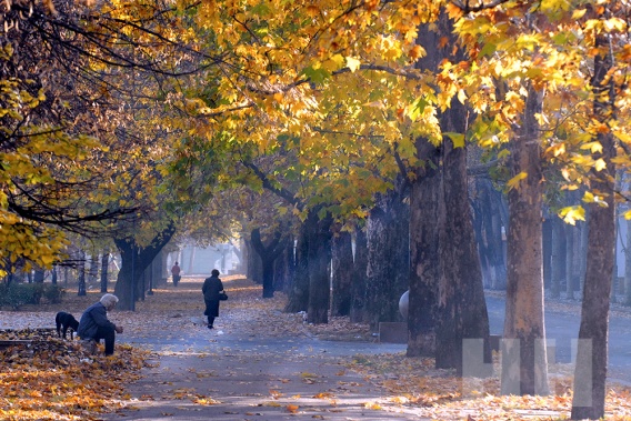 В первую неделю ноября в Николаеве +15-17 градусов тепла!