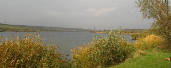 Рекой Балка Каменная и ее берегами возле Арбузинки занимались прокуроры