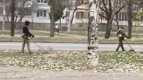 Департамент ЖКХ выяснил, почему в Николаеве «косили» опавшие листья