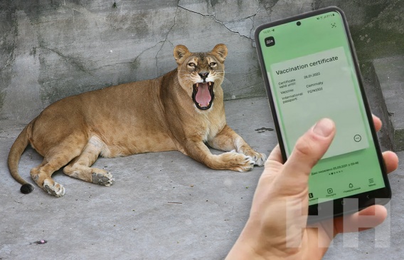 В Николаевский зоопарк вход только по ковид-сертификатам или по справке