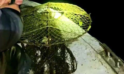 Ночь полицейские провели на реке Ингул под Николаевом