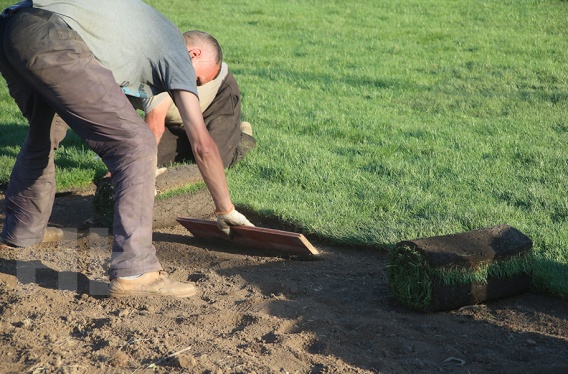 Польша увеличивает до двух лет период работы без разрешения для украинцев