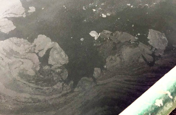 В Николаевском порту ликвидировали разлив растительного масла в реку