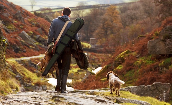 В Николаевской области открылся сезон охоты на парнокопытных и пушных зверей