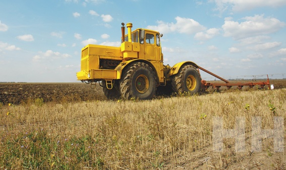 На Николаевщине 200 га для лесоразведения перепахали и засеяли тяжелыми «техническими» культурами