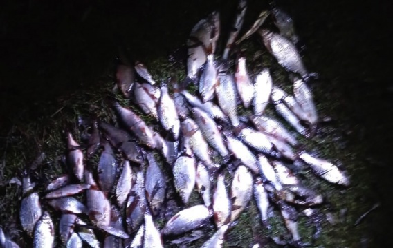 В Николаевской области на Южном Буге поймали браконьера, ловившего судака варварским методом