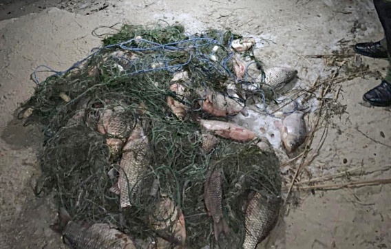 Одесские пограничники и рыбпатруль изъяли улов у николаевского браконьера