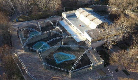 На «Остров зверей» обитатели Николаевского зоопарка переселятся весной