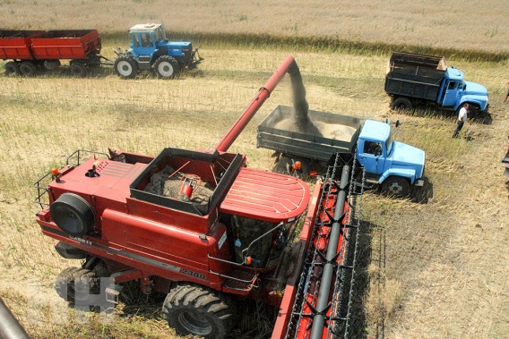 В этом году собран рекордный за историю Украины урожай