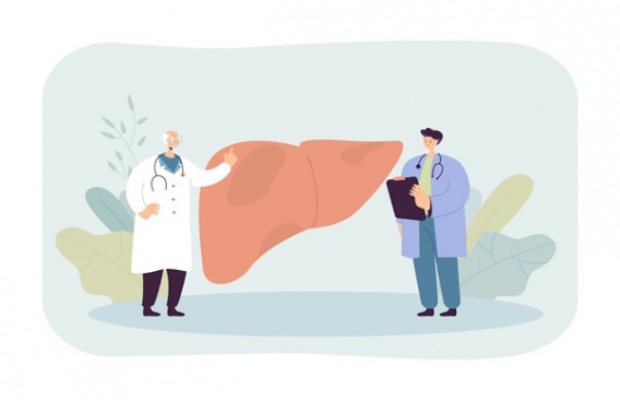 Профилактика для печени после праздников