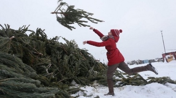 Когда и как выбрасывать новогоднюю елку, чтобы не потерять достаток и счастье: народные приметы