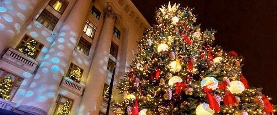 Елку, установленную возле офиса Президента Украины, вырастили в Южноукраинске