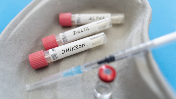 В Николаевской области подтвердили первый случай штамма "Омикрон"