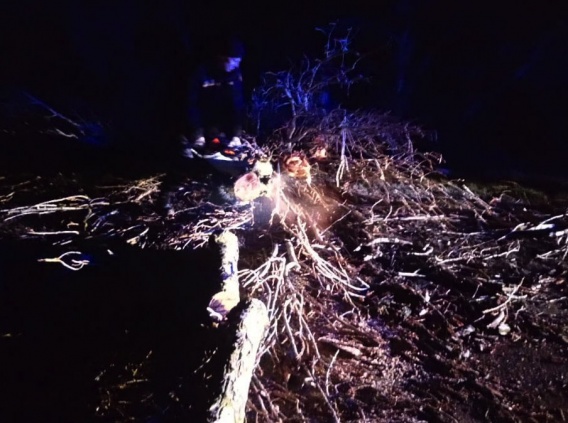 На трассу Николаев-Днепр от сильного ветра падают деревья